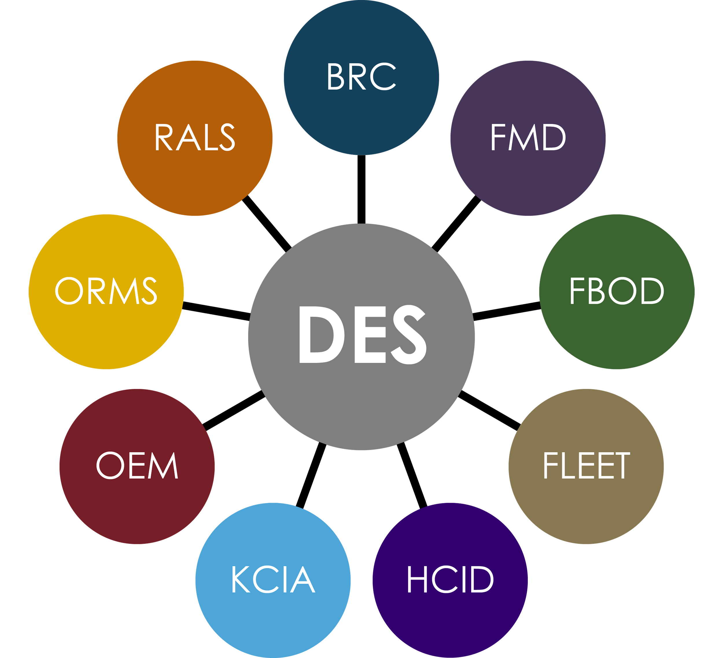 Graphic identity for Department of Executive Services that resembles a "pinwheel" with nine circular "petals" in contrasting colors representing the nine divisions and offices in the department connected to the DES "hub"