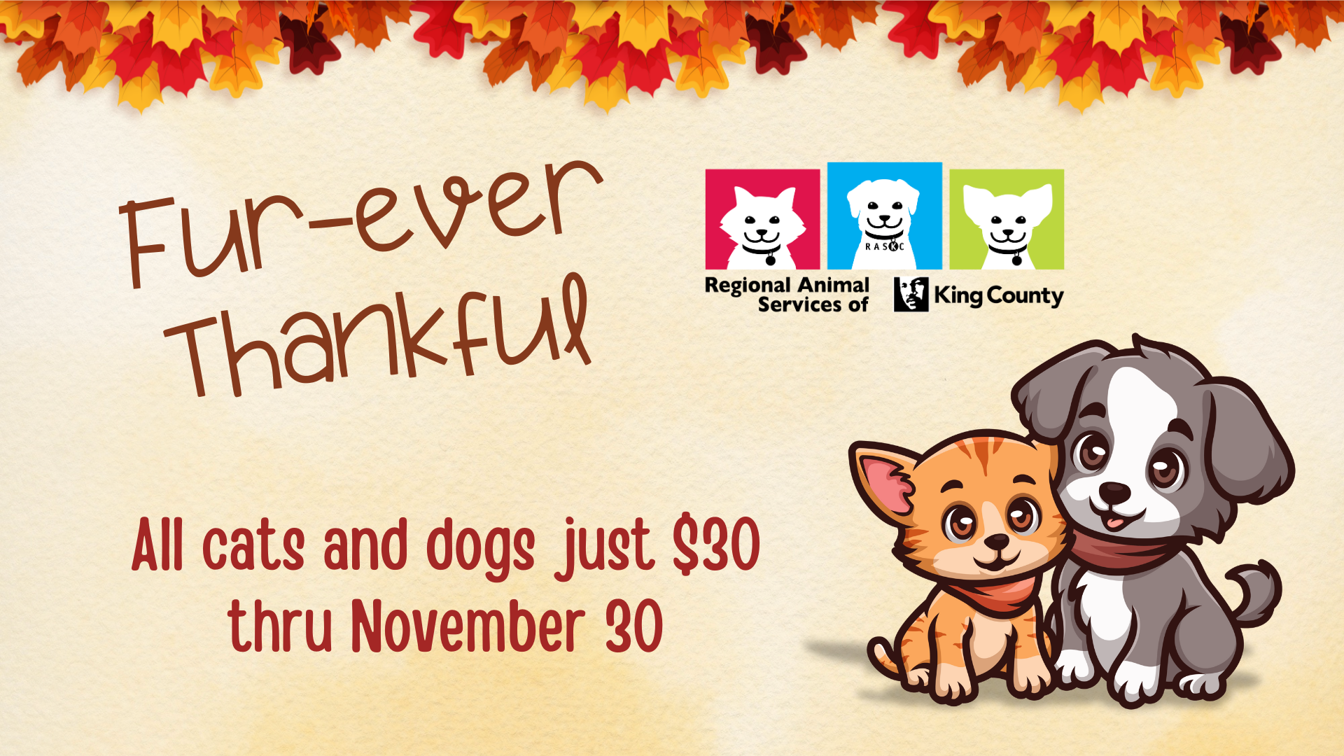 Fall-themed graphic with cartoon cat and dog wearing warm clothing, RASKC logo, and colorful leaves. Text reads "Fur-ever Thankful, all cats and dogs just $30 thru November 30"