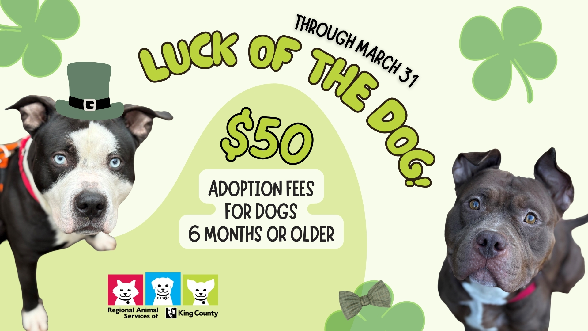 Graphic for "Luck of the Dog" adoption promotion through March 31, 2026 featuring two dogs and a green St. Patrick's day theme with shamrocks and lucky charms and a RASKC logo