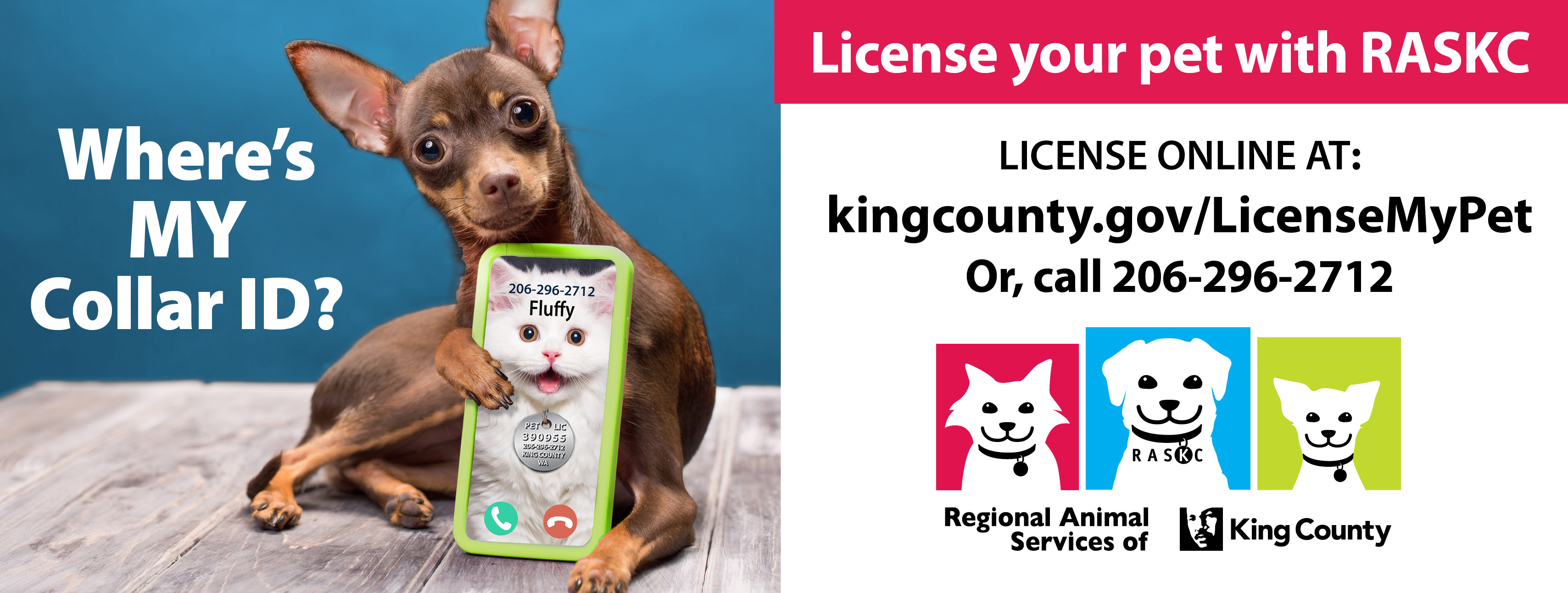 License your pet at kingcounty.gov/licensemypet or 206-296-2712