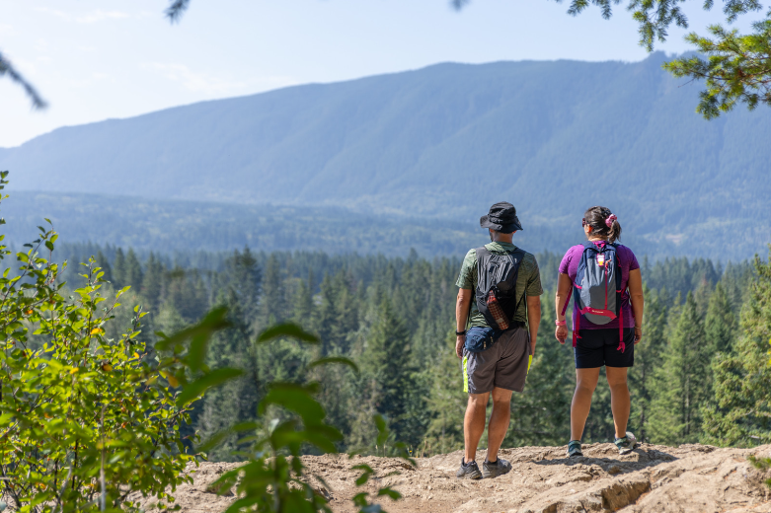 people enjoy a forest overlook
