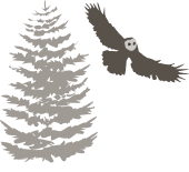 Changes in habitat important to local species