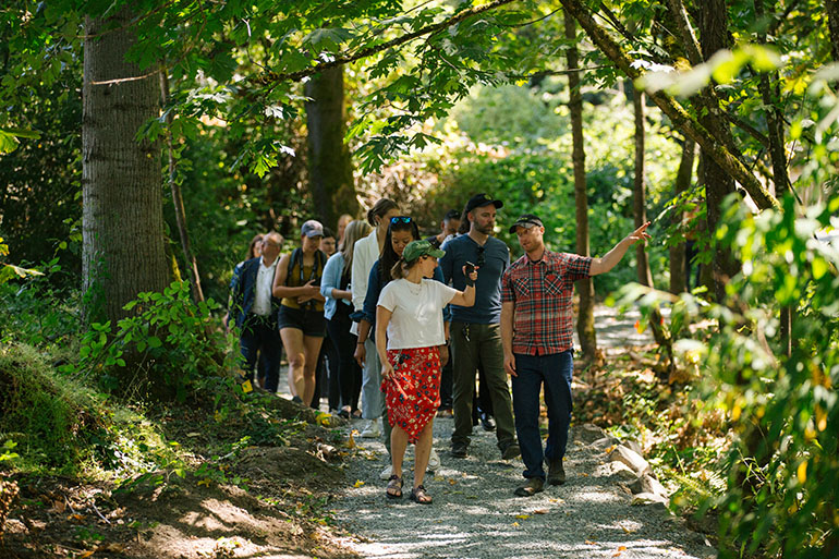 Group of people walking in forest.