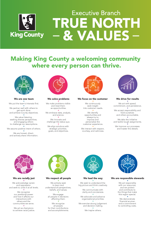 True north and values poster