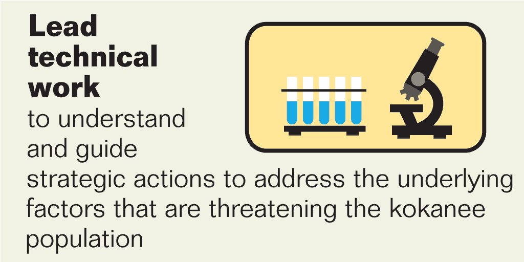 Recommendation 1: Lead technical work