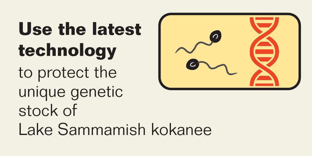 Recommendation 3: Use the latest technology