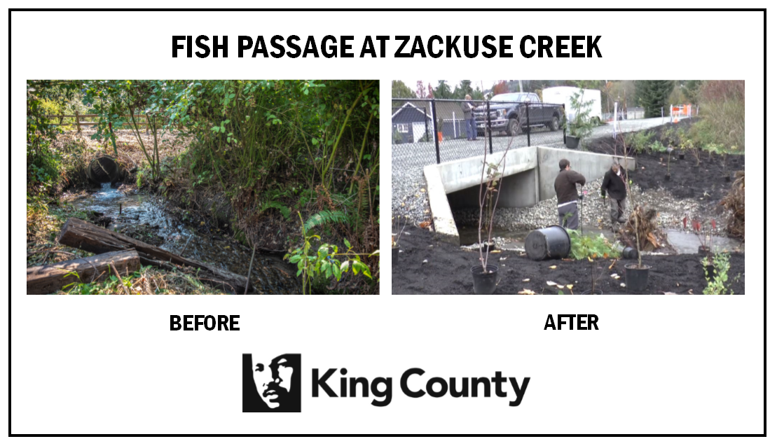 zackuse_before_and_after_final