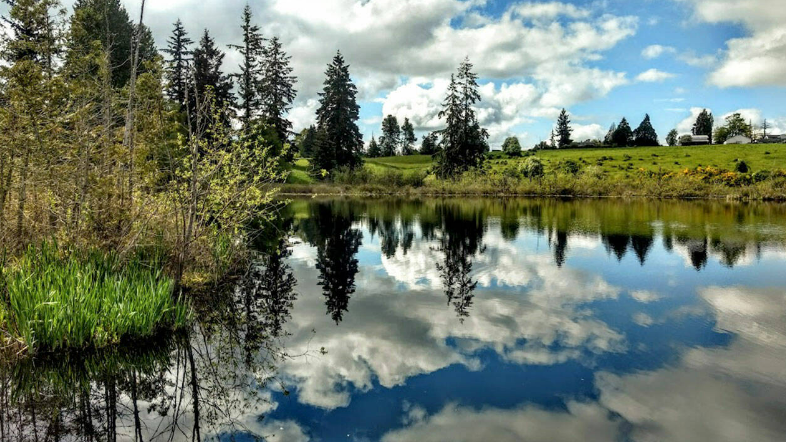 Clark Lake Park in Kent