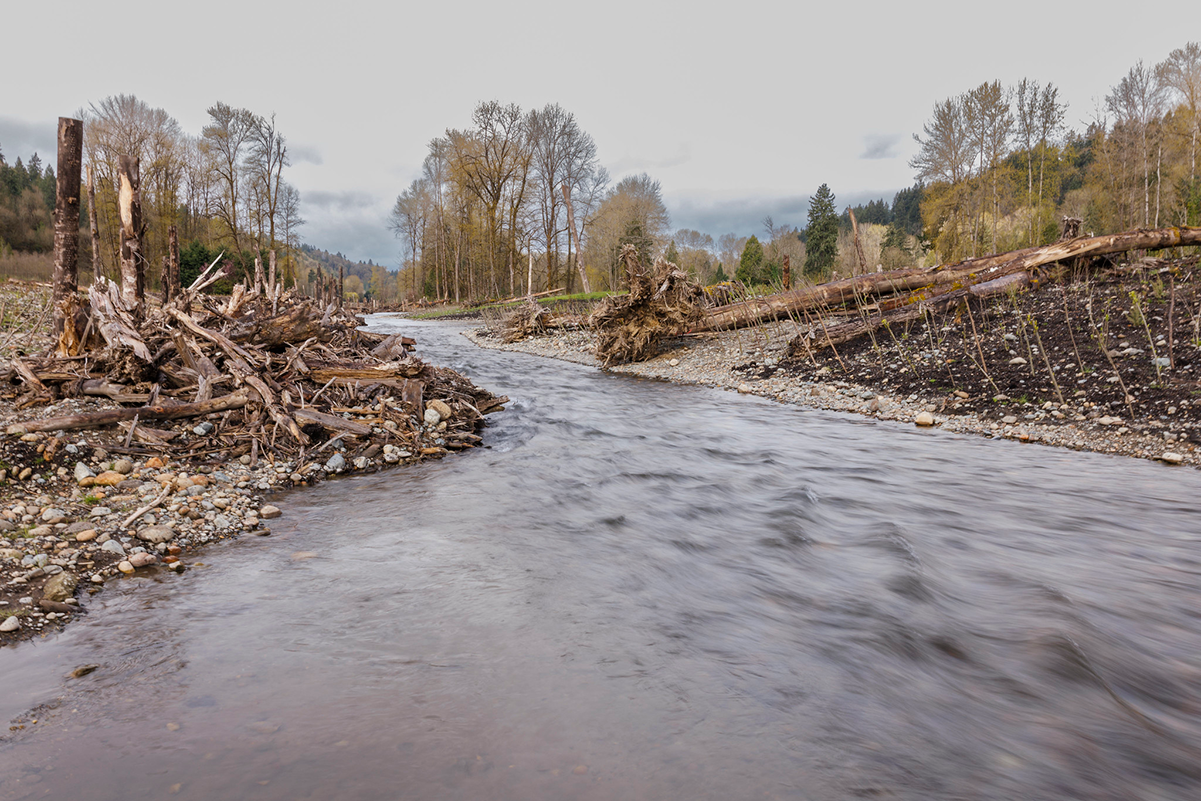 Ground-level photo of the new side channel along Cedar River