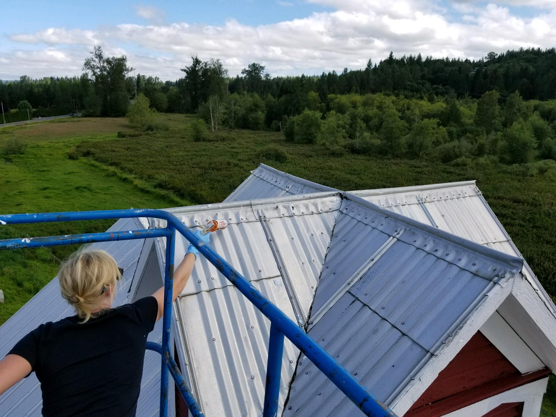 Hill_Crest_Barn_-_Diana_Keller_Repairing_Cupola