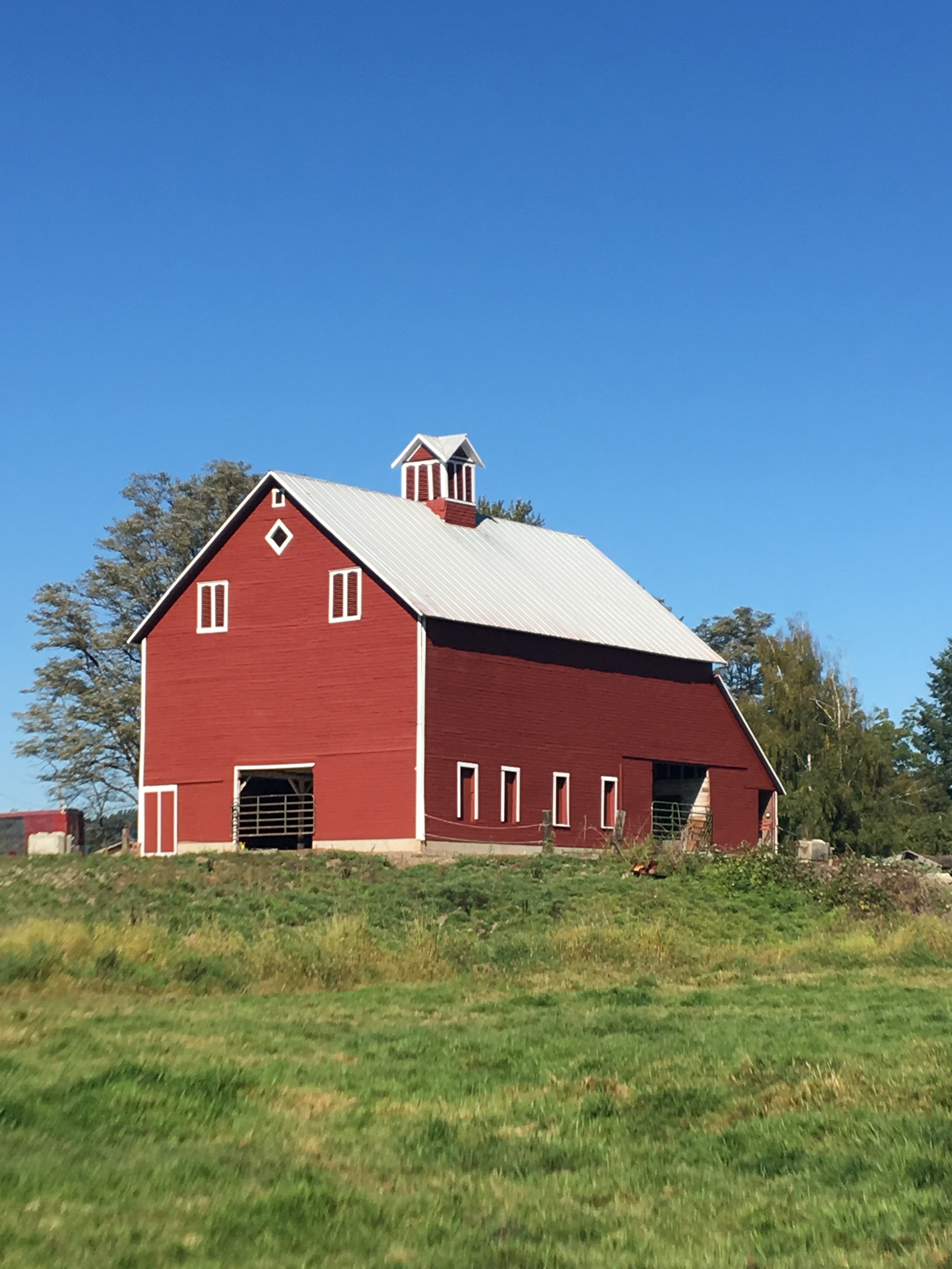 Hill_Crest_Barn_Carnation_-_Rehabilitation