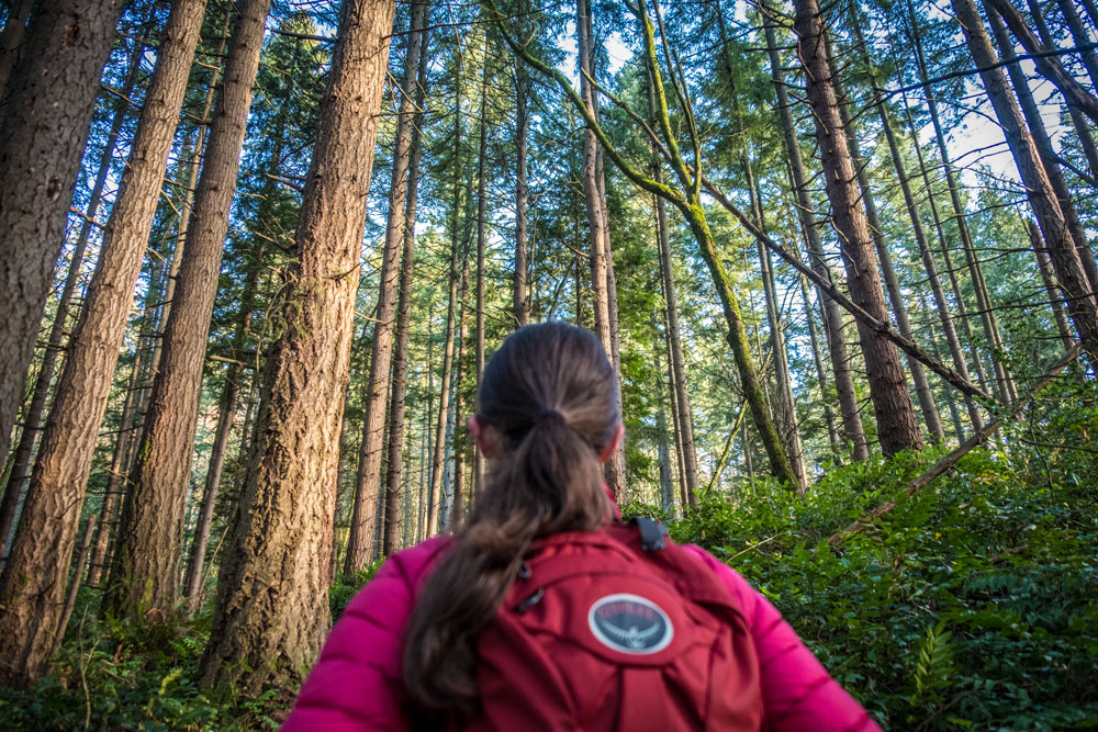 hiker-center-red-backpack