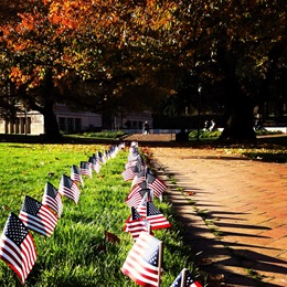UW_flags