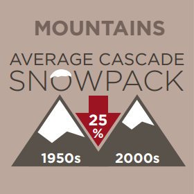 Climate Change Infographic - King County