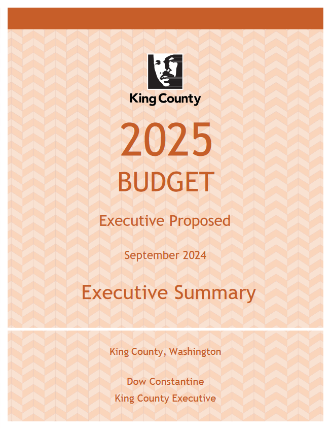 2025 Executive Summary