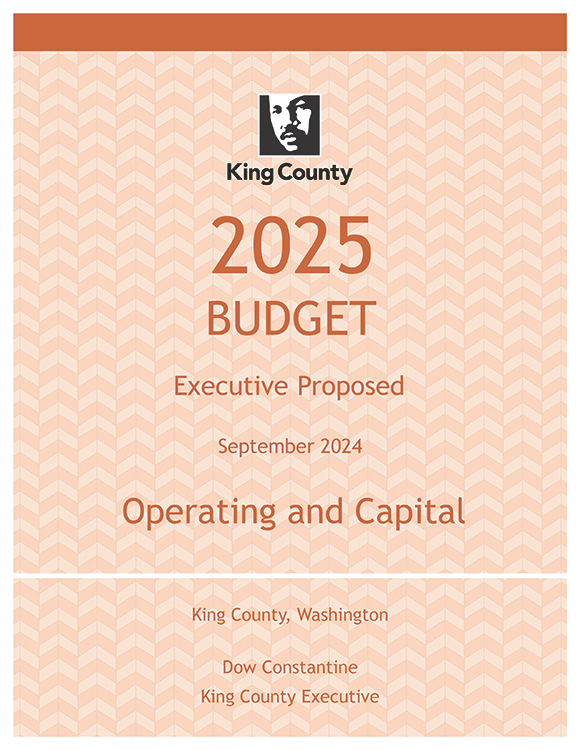 2025 Budget Book