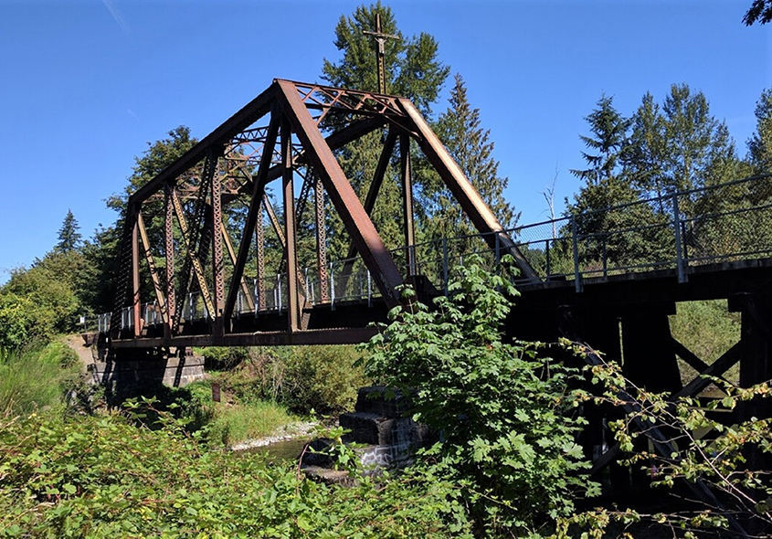 Cedar River Trail Foot Bridge No. 1001