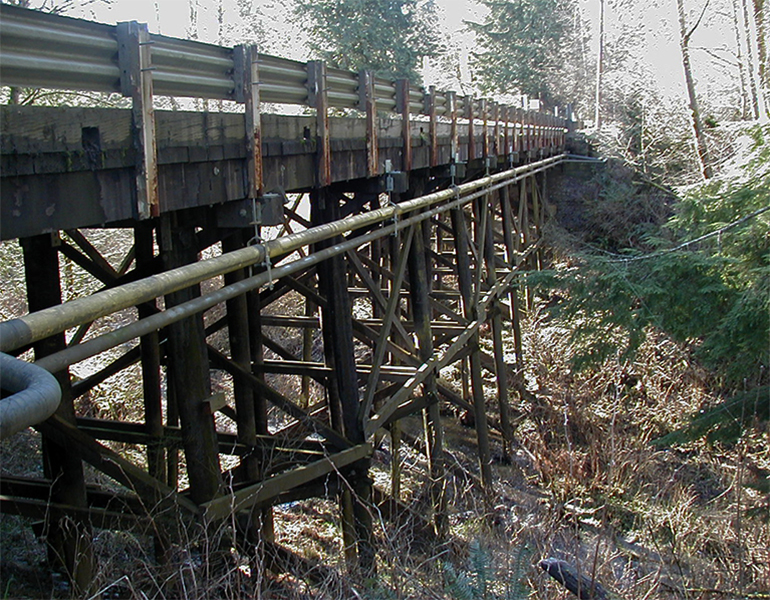 Ames Lake Trestle Bridge.