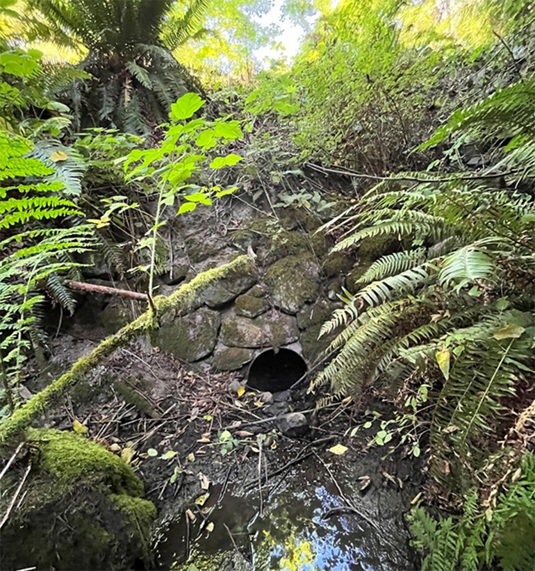 The existing pipe under the road at 141st Ave SW on Vashon Island