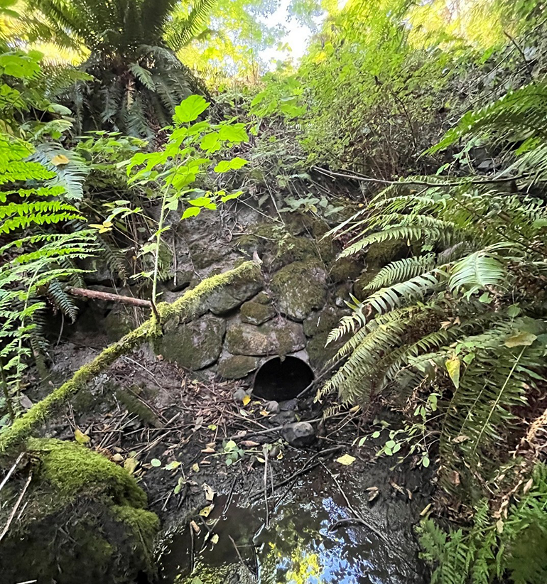 Existing culvert pipe at 141st Avenue SW, Vashon Island.