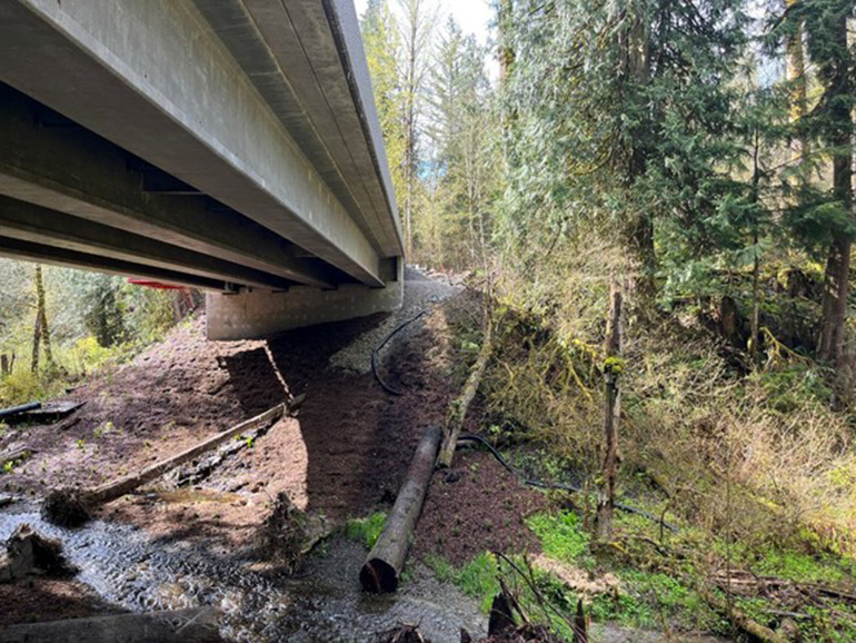 Ames Creek running underneath bridge with natural materials all around.