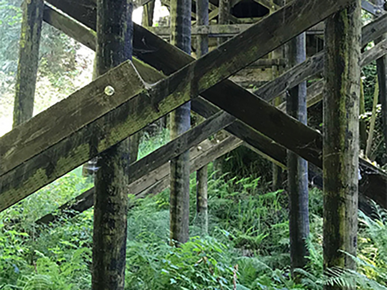View of the timber support piles under the bridge
