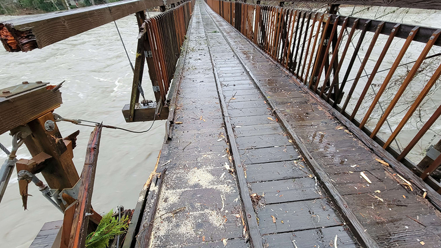 Tree damage to the Baring Bridge.