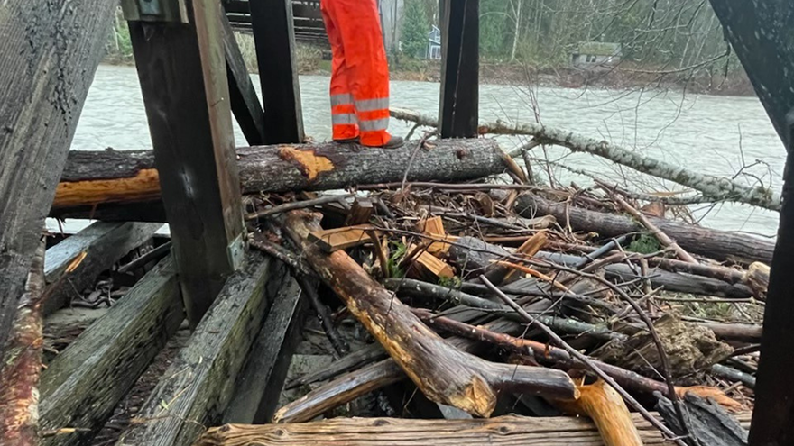 Trees on the Baring Bridge.