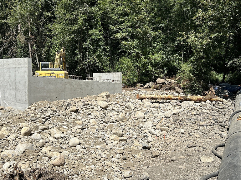 Large log on rocks and near bridge foundation.