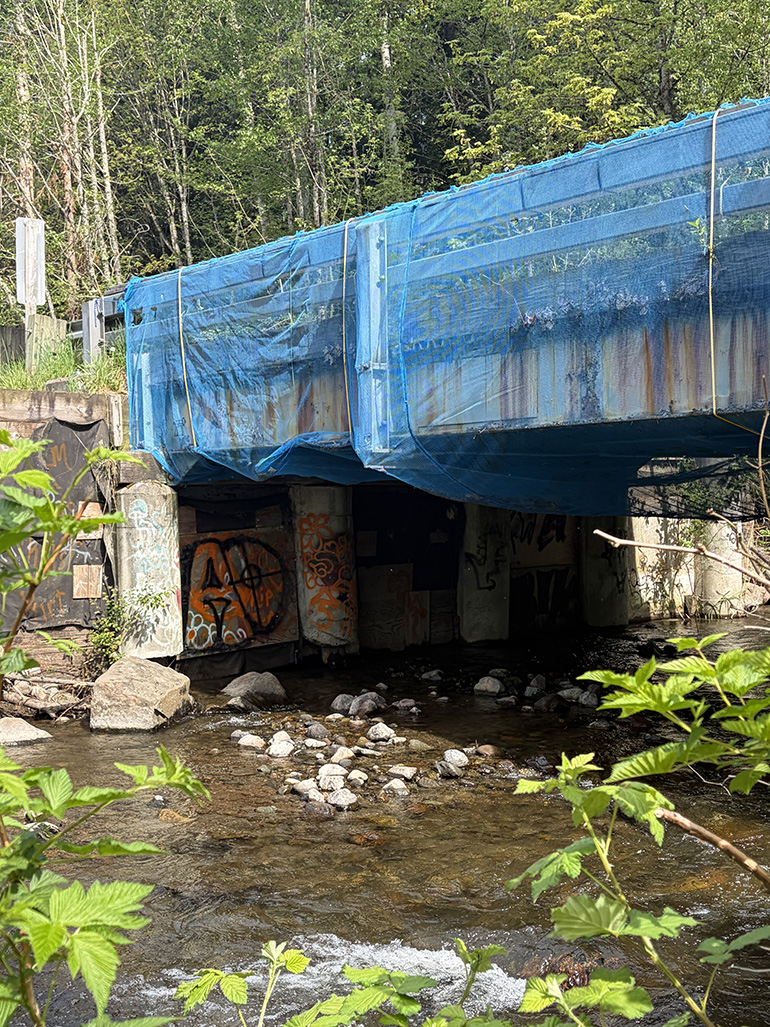 Boise X bridge over creek.