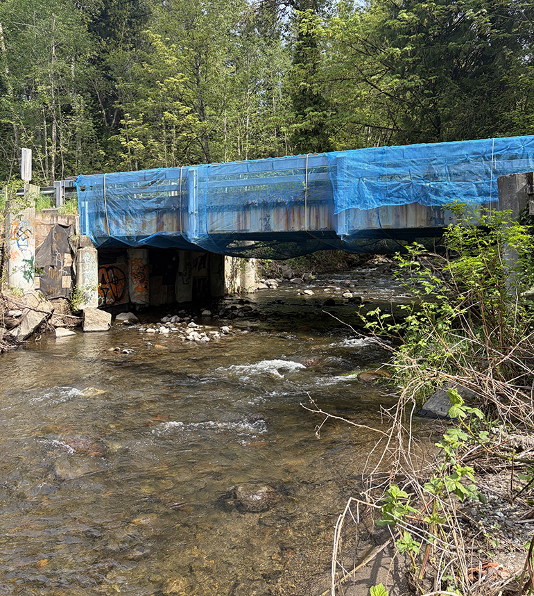 Boise X bridge over creek.