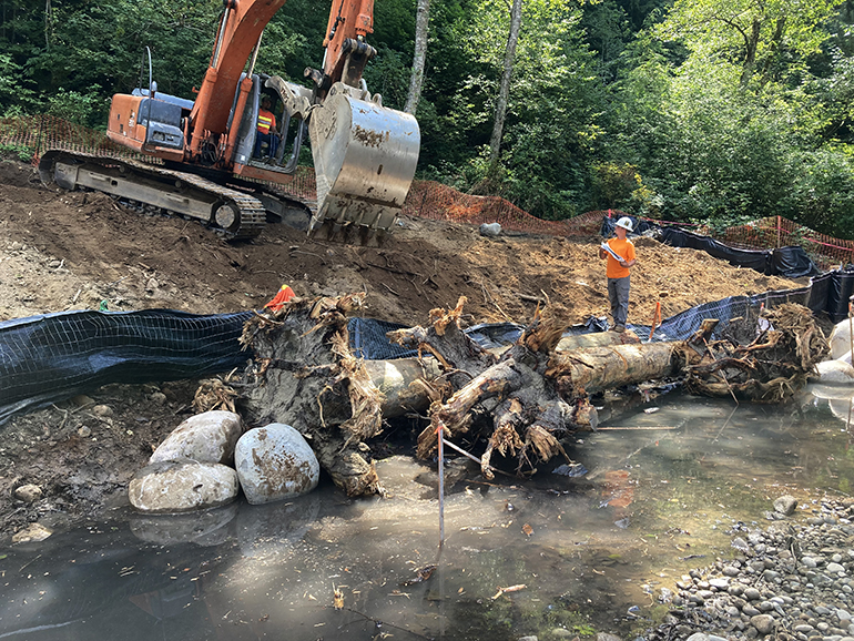 Felled trees used in the stream.