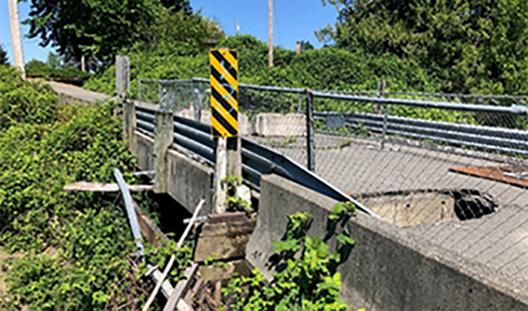 Fish Hatchery Road Bridge No. 61B Removal King County Washington