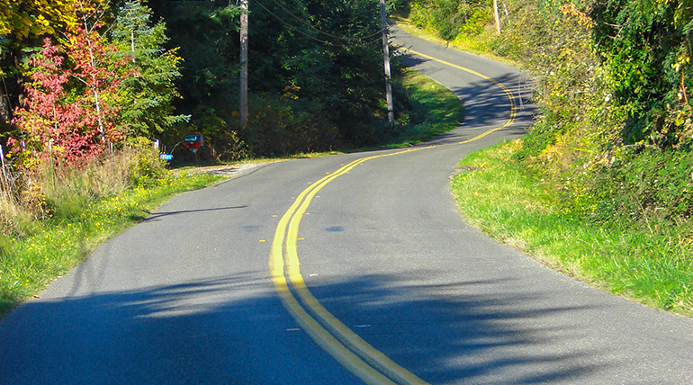 Winding road with trees on each side