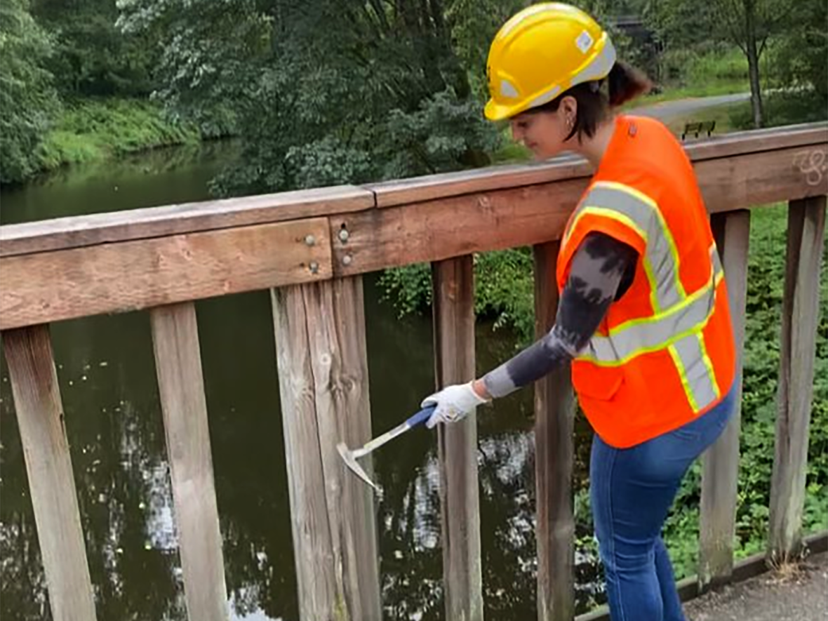 An intern looks at damage to a wood bridge post on a bridge.