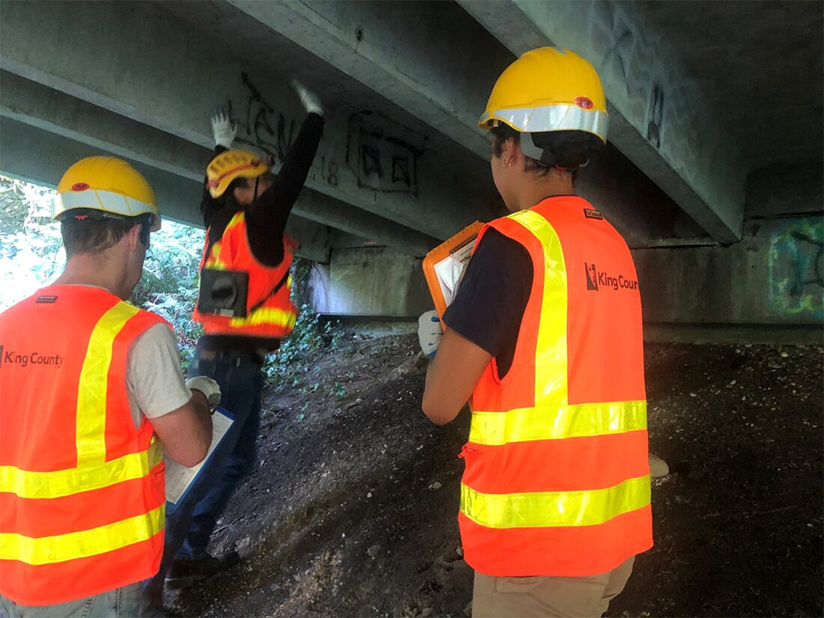 Interns inspecting the underside of a bridge.