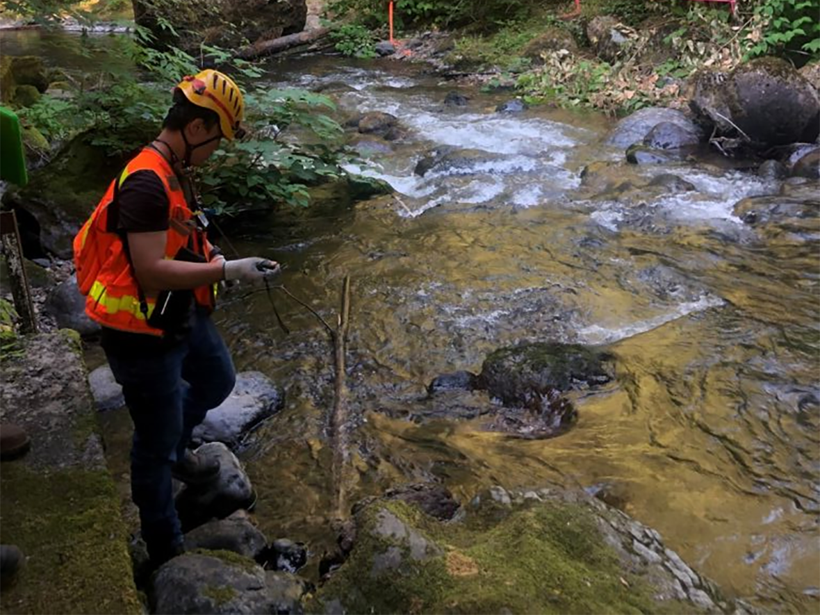 Intern at a stream checking an instrument.