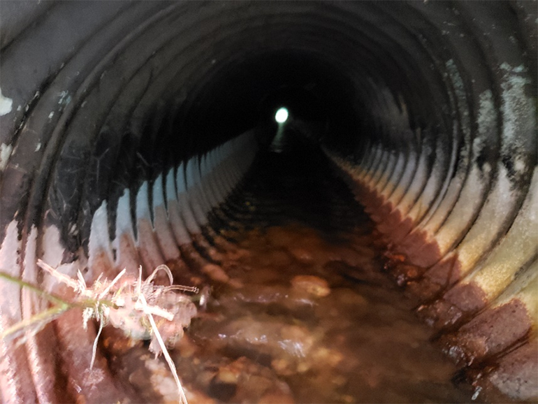 Rusty metal culvert with water running through and plant debris on the side.