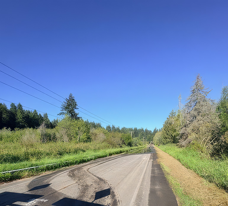 Road with blue skies on horizon