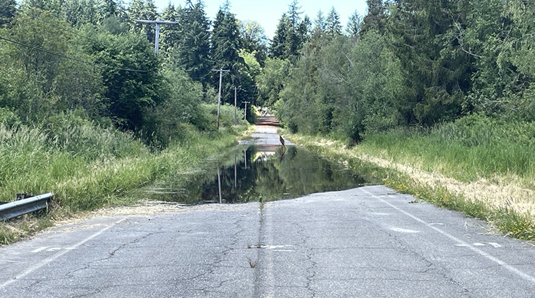 Road with water over it