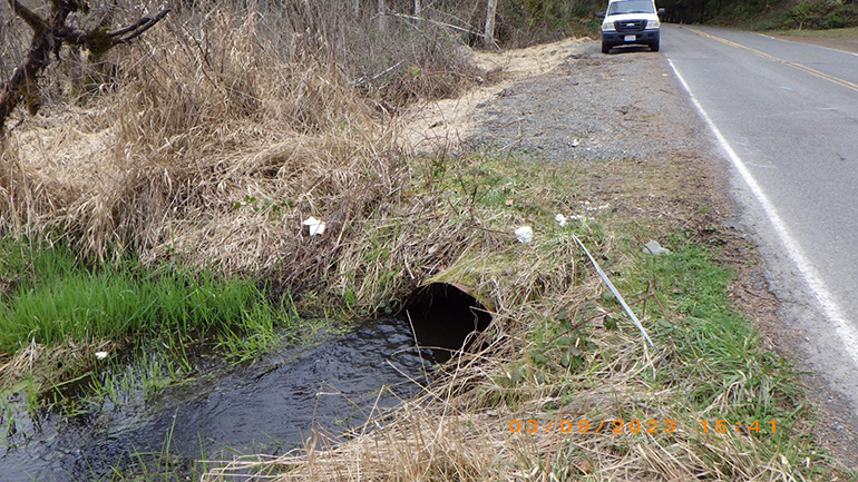 Water flows from an aging metal culvert under NE 24th Street. 