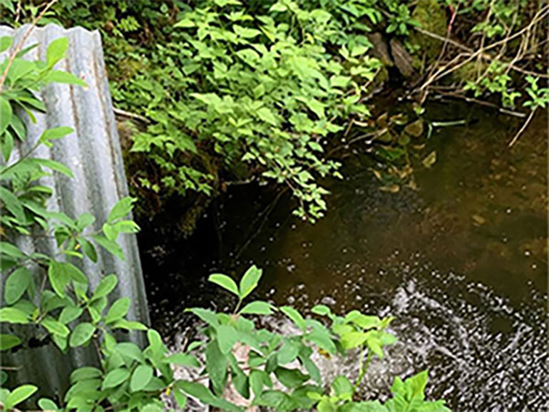 Culvert before replacement.