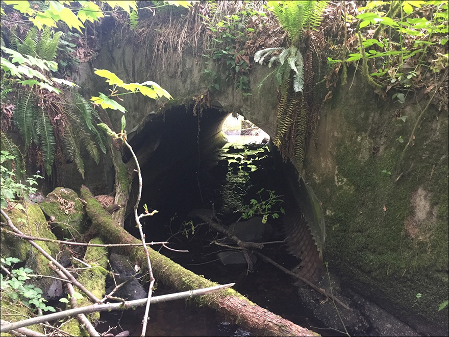 Existing culvert.