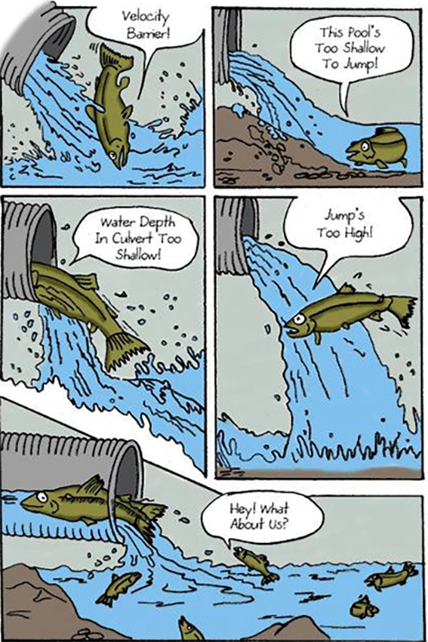 Cartoon style graphic showing fish attempt to jump in culvert that is too small, high and in water that is too shallow.