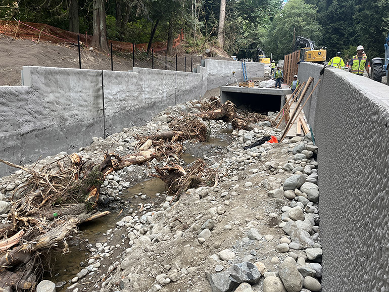 Trees and rocks fill the downstream section of Tuck Creek leading to the new box culvert. 