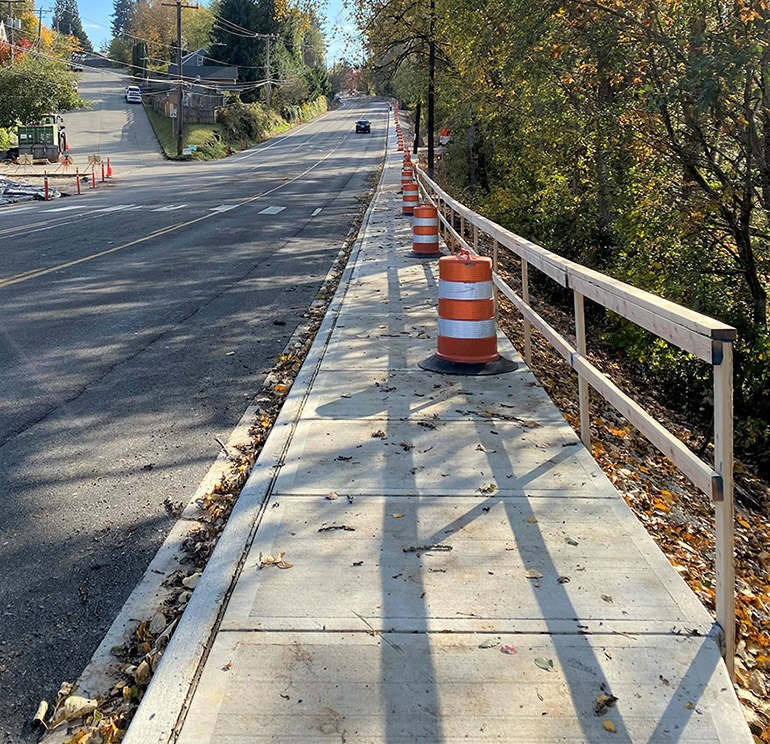 Cleaning and clearing driveway.