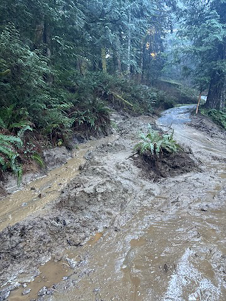 Image of roadslide from bottom of slide
