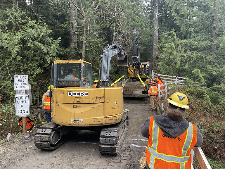 A picture containing tree, outdoor, ground, yellow