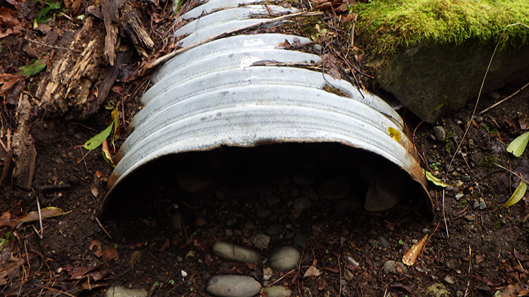 Old culvert coming out of earth