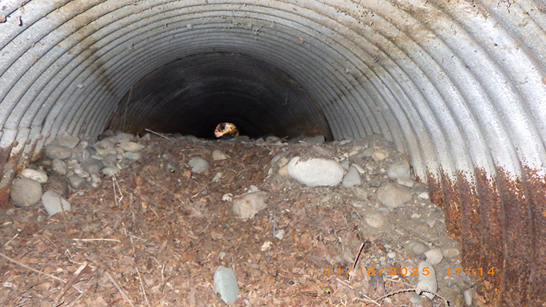 Iside of an old, rusted culvert with rocks and dirt
